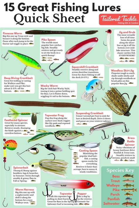 use of bait and lures in NY